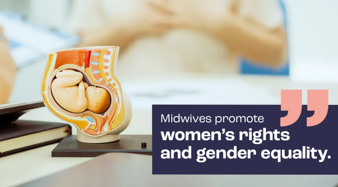 Kuvassa anatominen malli, jossa sikiö on kohdussa. Kuvassa teksti, jossa lukee "midwifes promote women´s rights and gender".