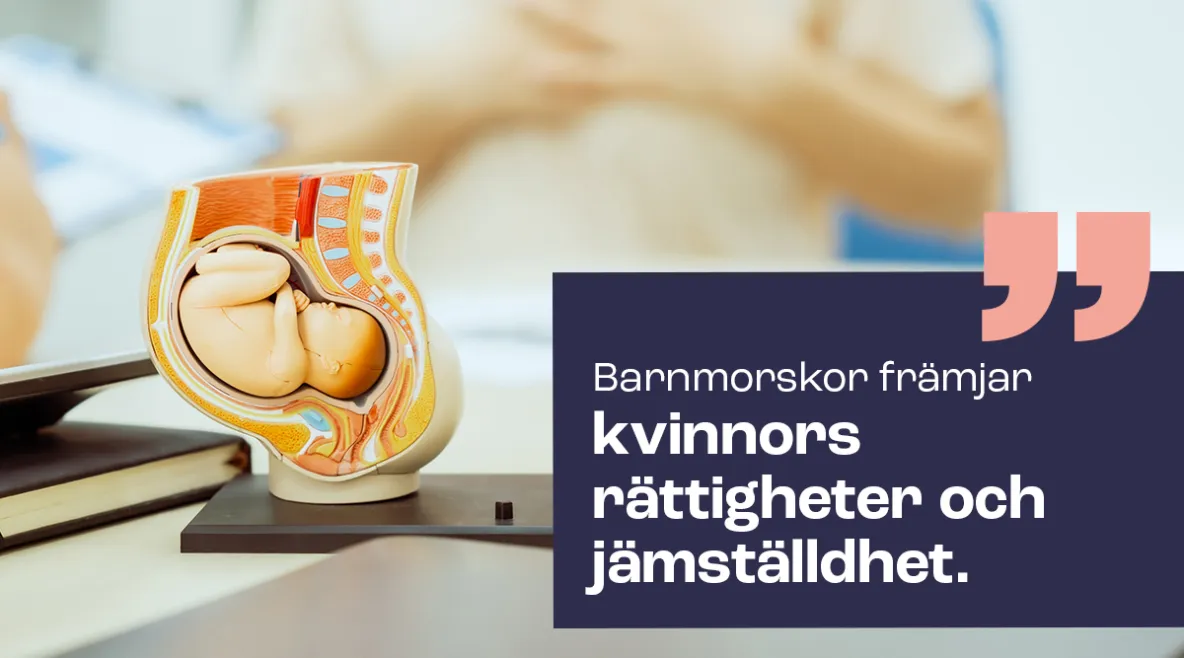Kuvassa anatominen malli kohdusta ja teksti "Barnmorskor främjar kvinnors rättigheter och jämställdhet."
