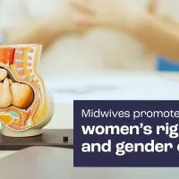 Kuvassa anatominen malli, jossa sikiö on kohdussa. Kuvassa teksti, jossa lukee "midwifes promote women´s rights and gender".