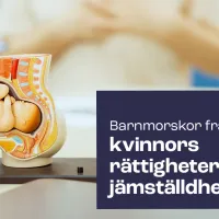 Kuvassa anatominen malli kohdusta ja teksti "Barnmorskor främjar kvinnors rättigheter och jämställdhet."