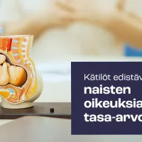 Kuvassa anatominen malli, jossa sikiö on kohdussa. Kuvassa teksti, jossa lukee "kätilöt edistävät naisten oikeuksia ja tasa-arvoa".