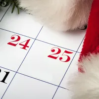 Kalenteri joulukuulta ja jouluisia somisteita.