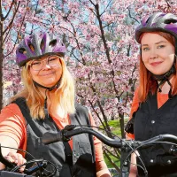 Jasmin Rönkkö ja Samira Grönros pyörineen kukkivien kirsikkapuiden edessä.