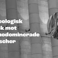 Mustavalkoinen kuva, jossa eduskunnan kivipylväät. Kuvassa Tehyn puheenjohtaja Millariikka Rytkönen ja slogan: "En ideologisk attack mot kvinnodominerande kvinnor".