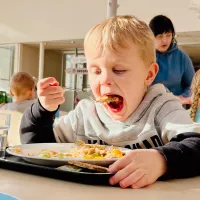 Pieni poika syö laittaa haarukallisen ruokaa suuhun päiväkodin lounaalla.