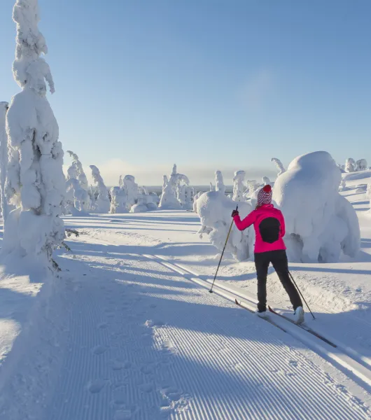 Nainen hiihtämässä