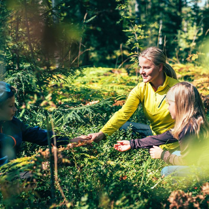 pajulahti, kisakallio