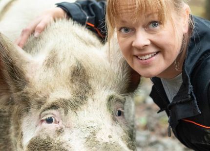 Sairaanhoitaja Annette Haavasoja halaa porsasta. Katse kameraan.