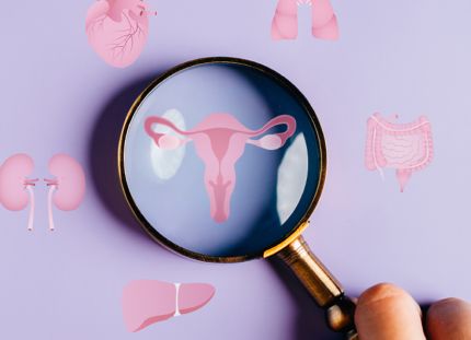 Suurennuslasilla tarkastellaan piirroskuvia naisen kohdusta ja munasarjoista.