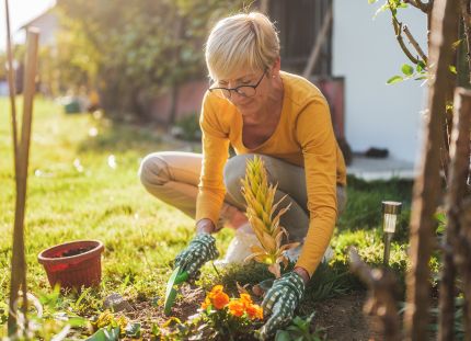 Nainen istuttaa kukkia