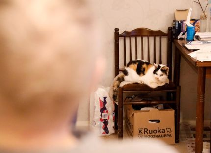 Vanhus näkyy kuvassa etualana epätarkkana hahmona selin kameraan. Vanhus istuu kotona tuolissa. Kuvassa näkyy uonekaluja ja tavaroita ja kissa.