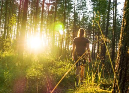 Tutkimusten mukaan jo 15 minuuttia voi tuoda mitattavia terveyshyötyjä. Nainen kävelee metsässä auringonpaisteessa.
