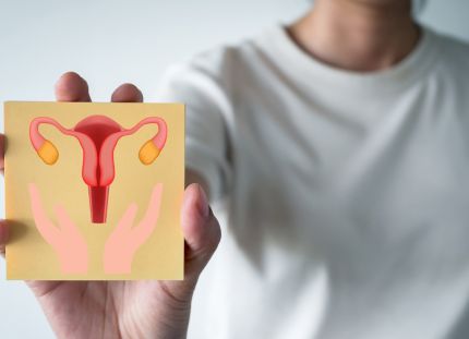 Henkilö itää kädessään kuvakorttia, jossa piirroskuva munasarjoista.