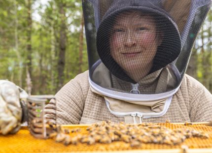 Mehiläishoitajan suojapukuun pukeutunut Sarianna Kuorttinen mehiläispesällä.