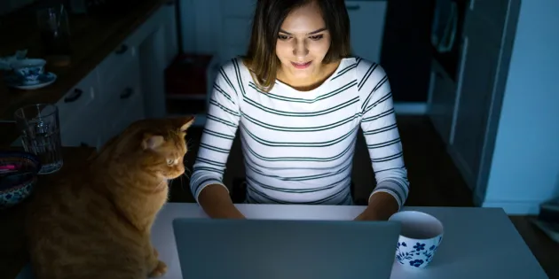 Nainen käyttää tietokonetta illalla pimeässä keittiössä kissan kanssa