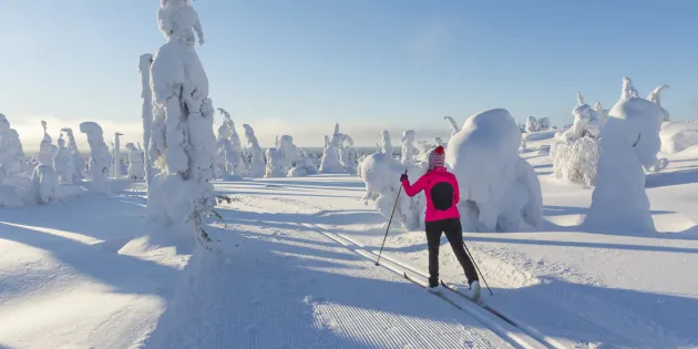 Nainen hiihtämässä