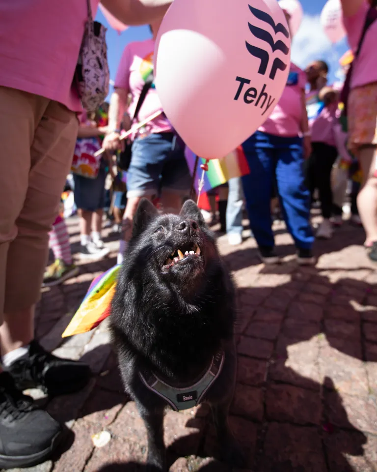 Pride 2026