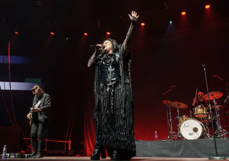 Tehyn pikkujoulut 29.11.