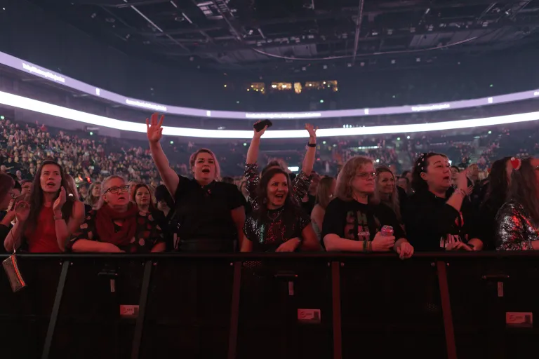 Tehyn pikkujoulut 29.11.